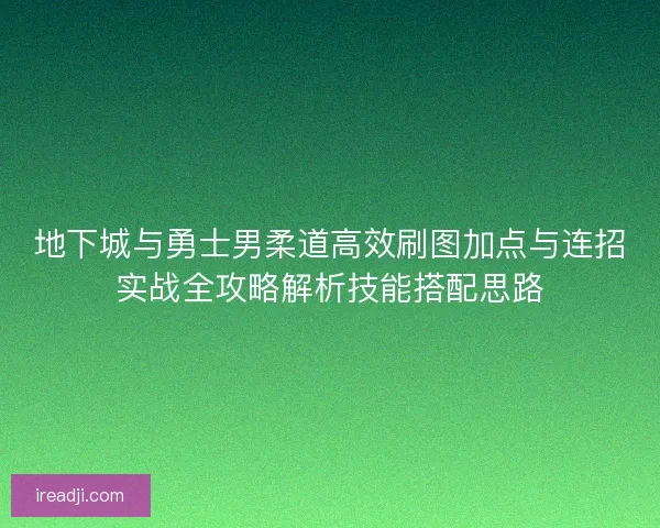 地下城与勇士男柔道高效刷图加点与连招实战全攻略解析技能搭配思路